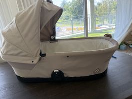 Gazelle S Cot
