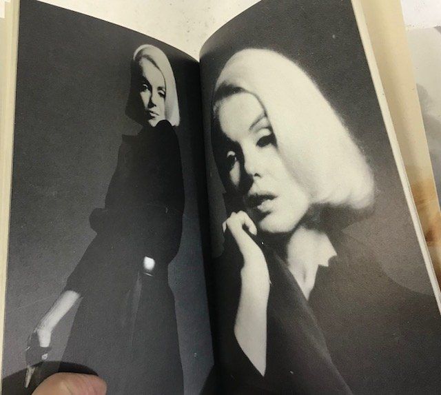 Libri: Marilyn‘s last sitting von Bert Stern – Usato da Zürich venduto da popcorn67 4
