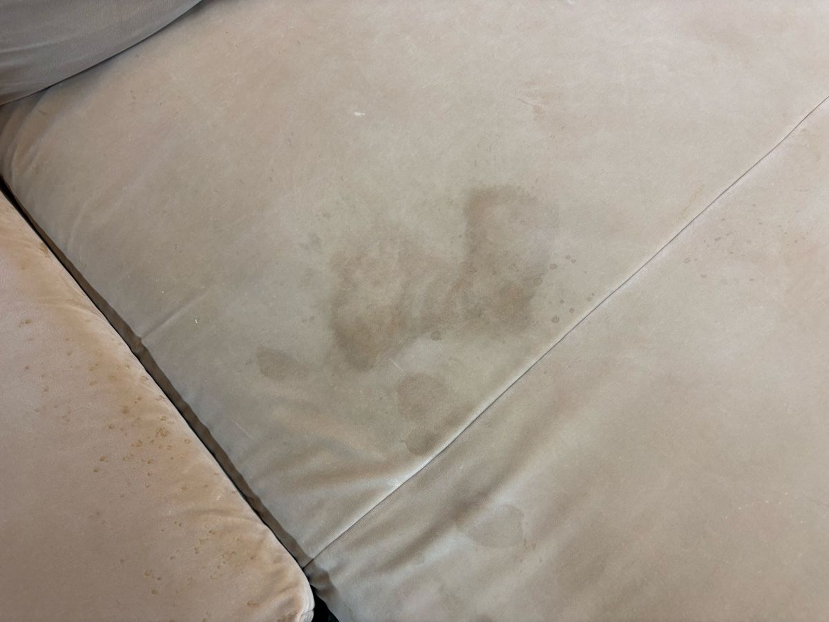 Divani: Freistil Rolf Benz Sofa Beige, Lounge Sofa mit Gebrauchssp – Usato da Bennau venduto da Perlaschnueffi 2