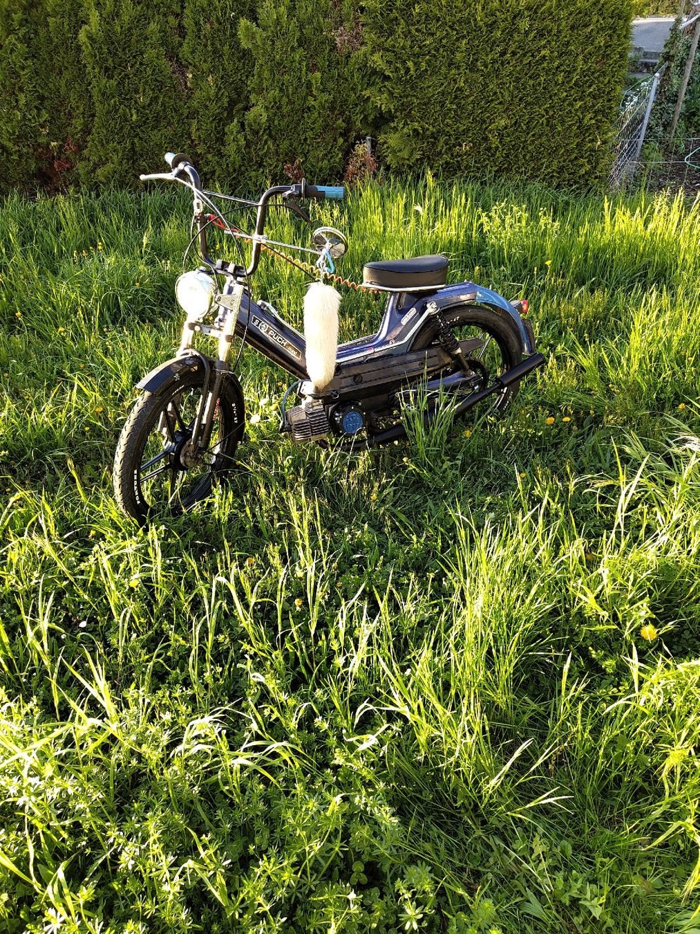 Puch Mofas: Puch maxi s – Gebraucht aus Löhningen von Mce6 1