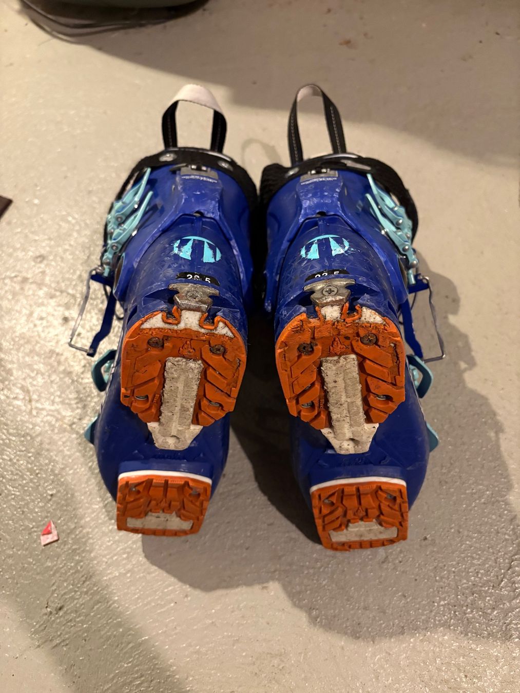 Tecnica Scarpe da uomo: Skischuhe 23.5 – Usato da Belp venduto da mikemaru 1