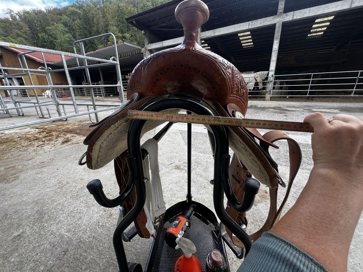 Selles, accessoires: Wunderschöner Reining Sattel  – D'occasion à Oerlingen par Lucaphil01 6
