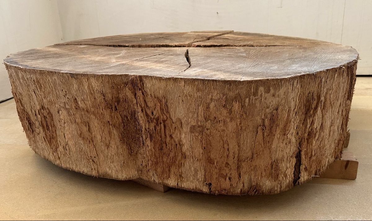 Articoli in legno: Eichenscheibe, Baumscheibe, Massivholz, Eiche, Couchtisch – Nuovo (secondo la descrizione) da Meggen venduto da deanstreet