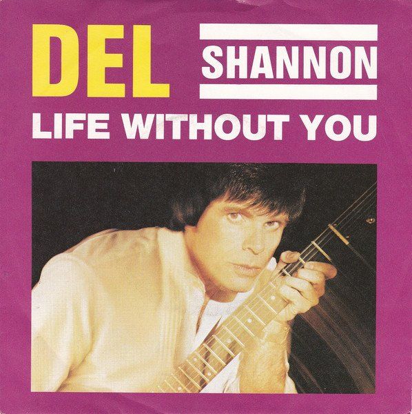 Dischi in vinile: Shannon Del: Life Without You / Help Me 7" – Usato da Steinhausen venduto da Vilivinili