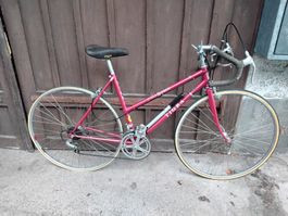 Damenrennvelo Tigra Cycle Sieger 50cm