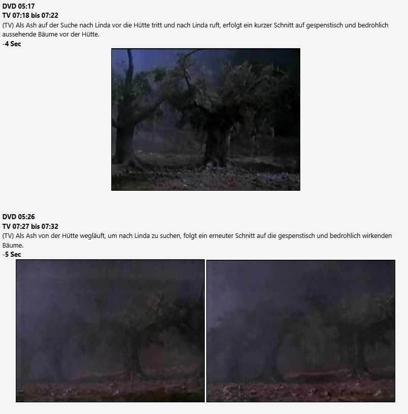 Tutti i DVDs: Seltene mexikanische TV-cut Version Horror Evil Dead  2 Dvd – Usato da Schlieren venduto da Moviepropde 3