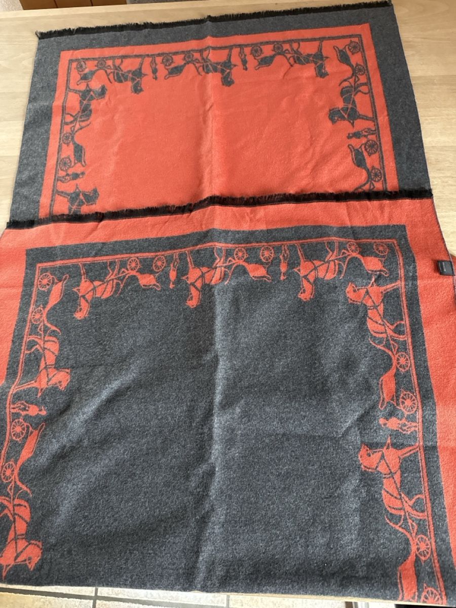 Foulards, Tücher & Schals: Schal – Gebraucht aus Dettighofen (Lengwil) von Dolol 2