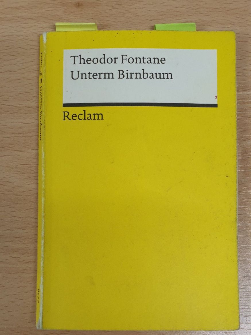 Livres: Unterm Birnbaum - Theodor Fontane Buch – D'occasion à Volketswil par jul_hwb8