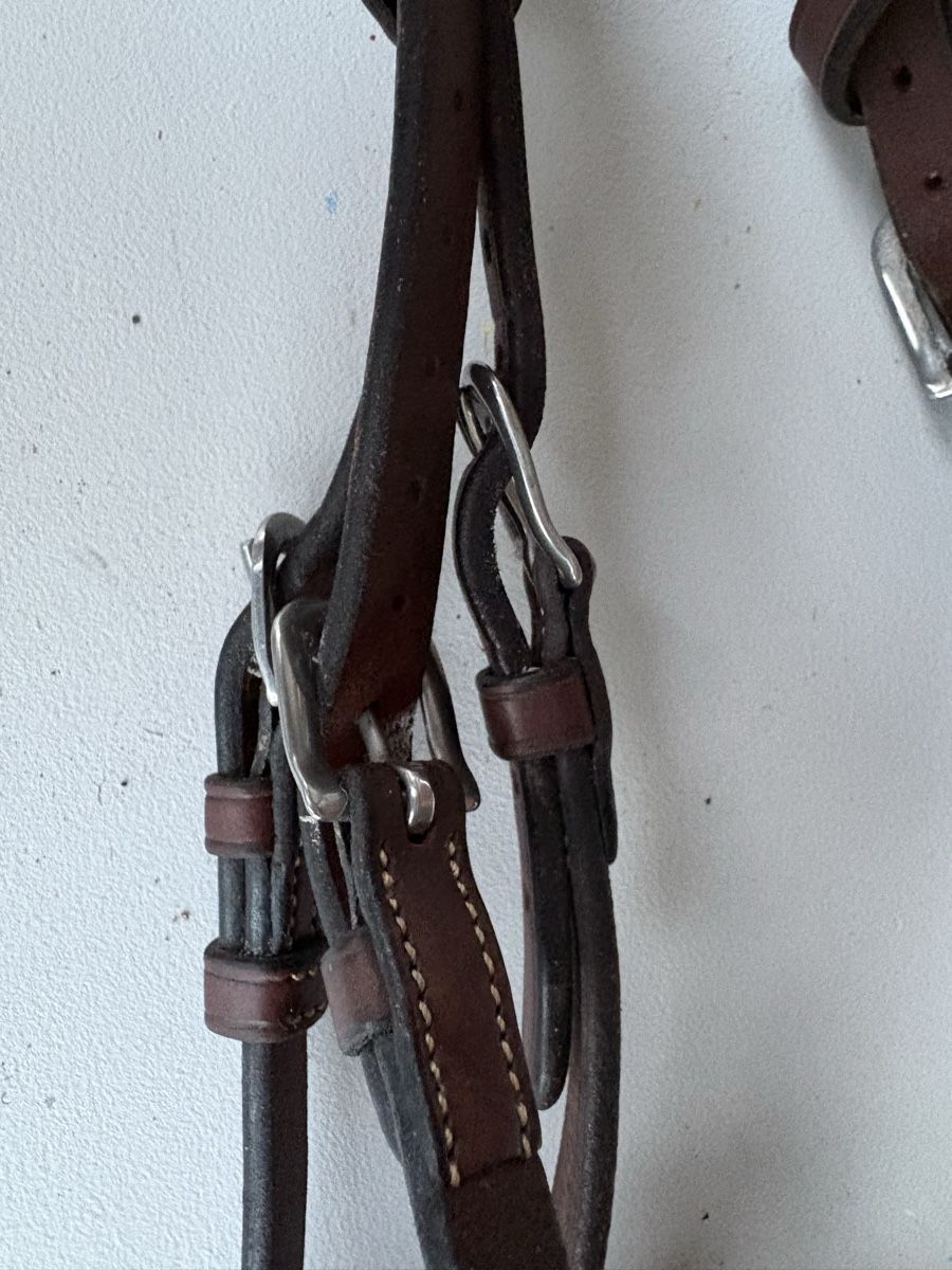 Brides, licols: Bride Antares taille cob – D'occasion à Puplinge par Mady88 5
