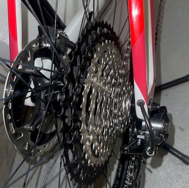 Cube Biciclette: Cube Elite Carbon XC Hardtail Grösse L – Usato da Sisseln AG venduto da bro_ns6z 5