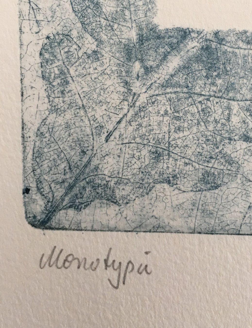Grafica & Litografie: Peter Wodak     "Baum"   MONOTYPIE – Usato da Nennigkofen venduto da juhit 3