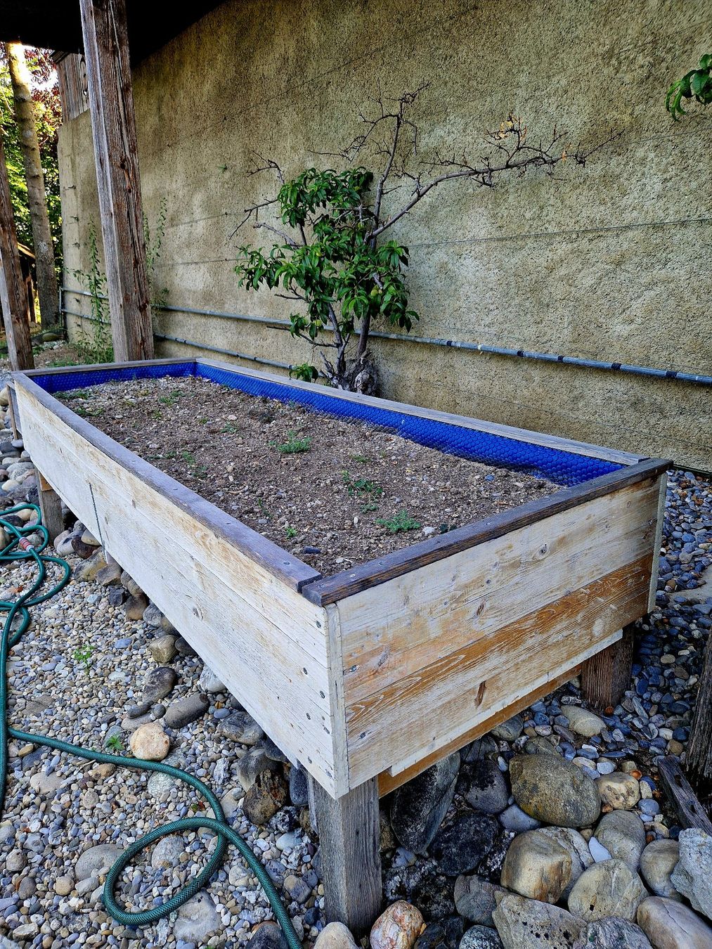 Box contenitori: Hochbeet aus Holz – Usato da Heimiswil venduto da Windspiel145