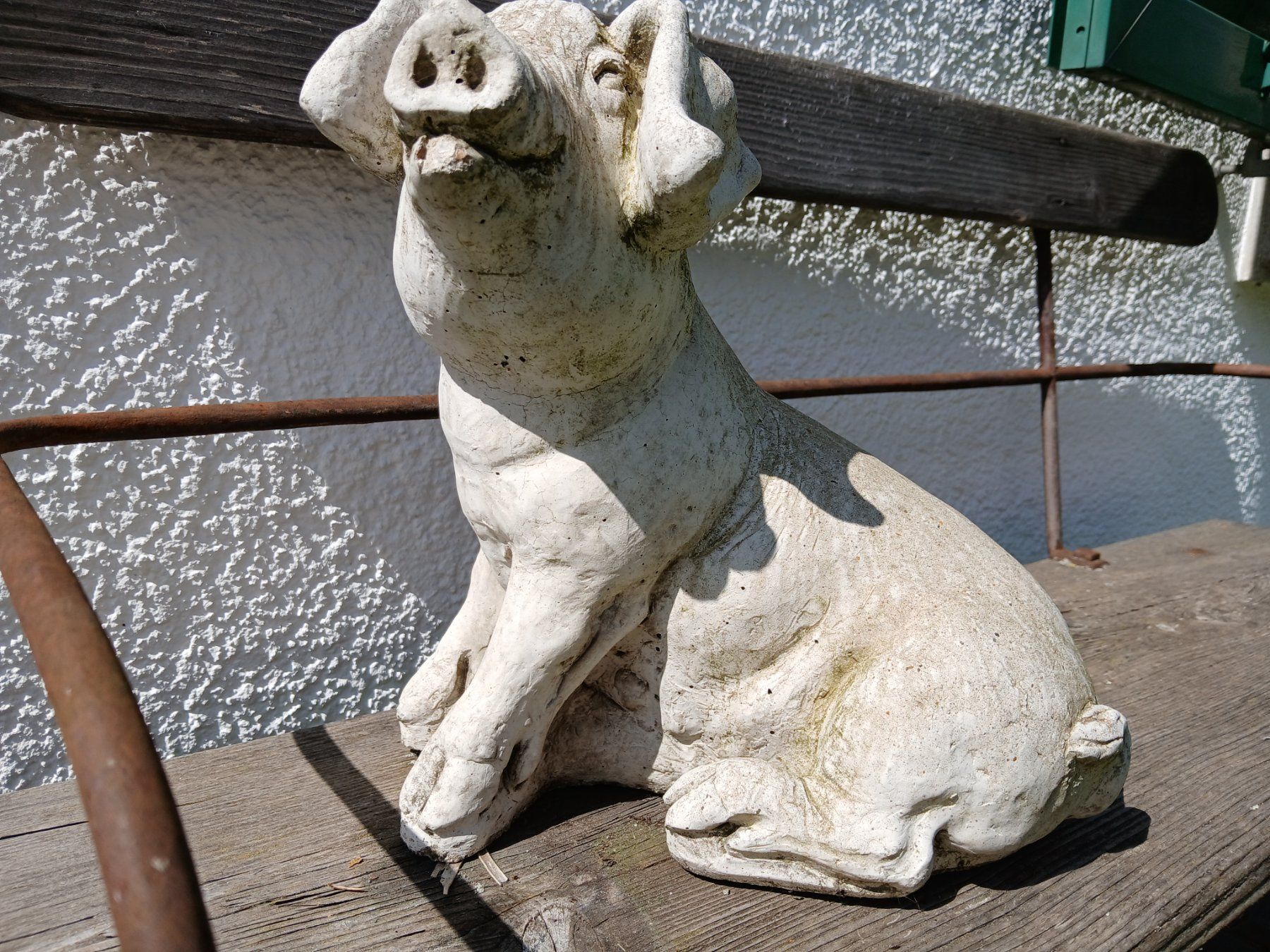 Sculture & Statue: Schwein Gartenskulptur gegossen – Usato da Zumikon venduto da Vollvintage 7