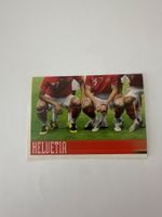 Panini UEFA EM 2008 Sticker - Nr. 49