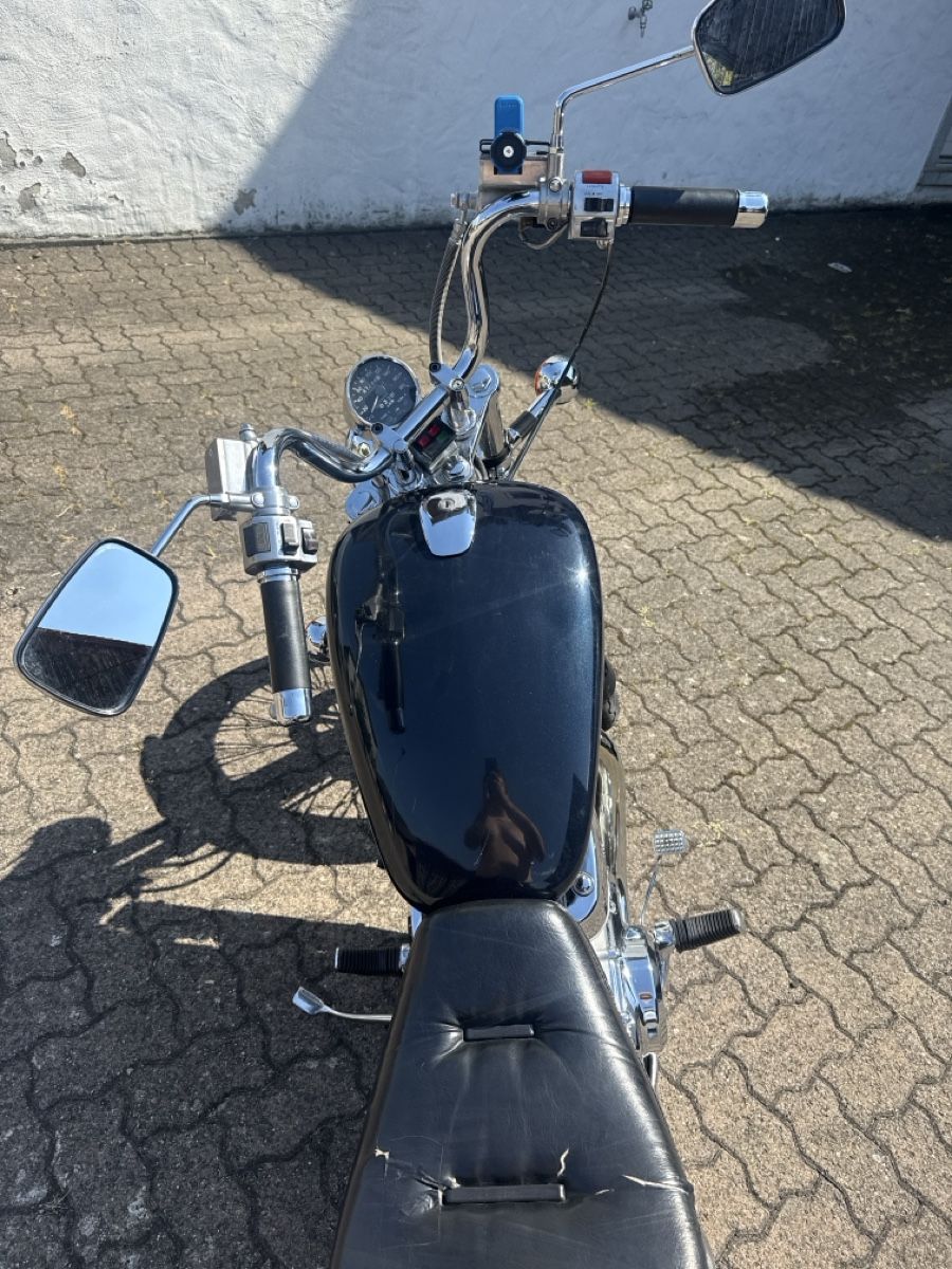 Suzuki Chopper: Suzuki Intruder VS 800  – Usato da Wettingen venduto da kw9_d8y7 6