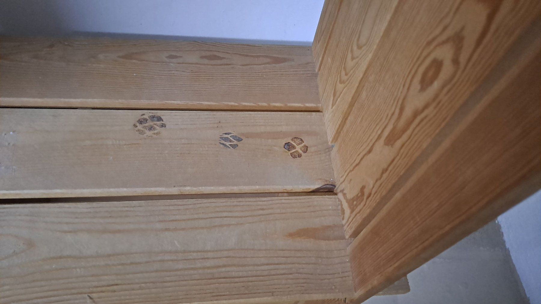 Scaffali: Holzregal – Usato da Winterthur venduto da rama210 4