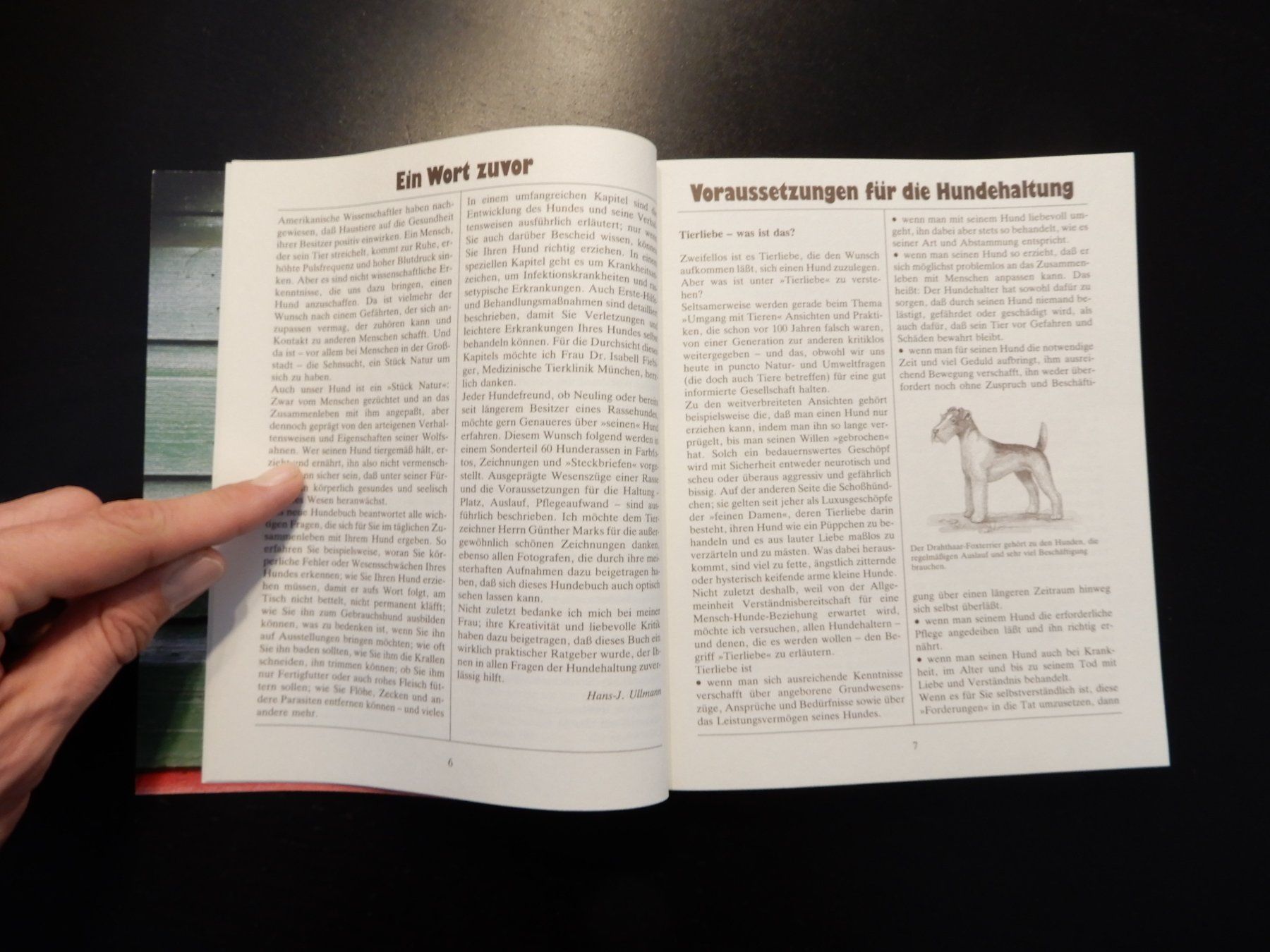 Bücher: Hundebuch "Das neue Hundebuch" von Ullmann – Gebraucht aus Erstfeld von Mario_boe0 5