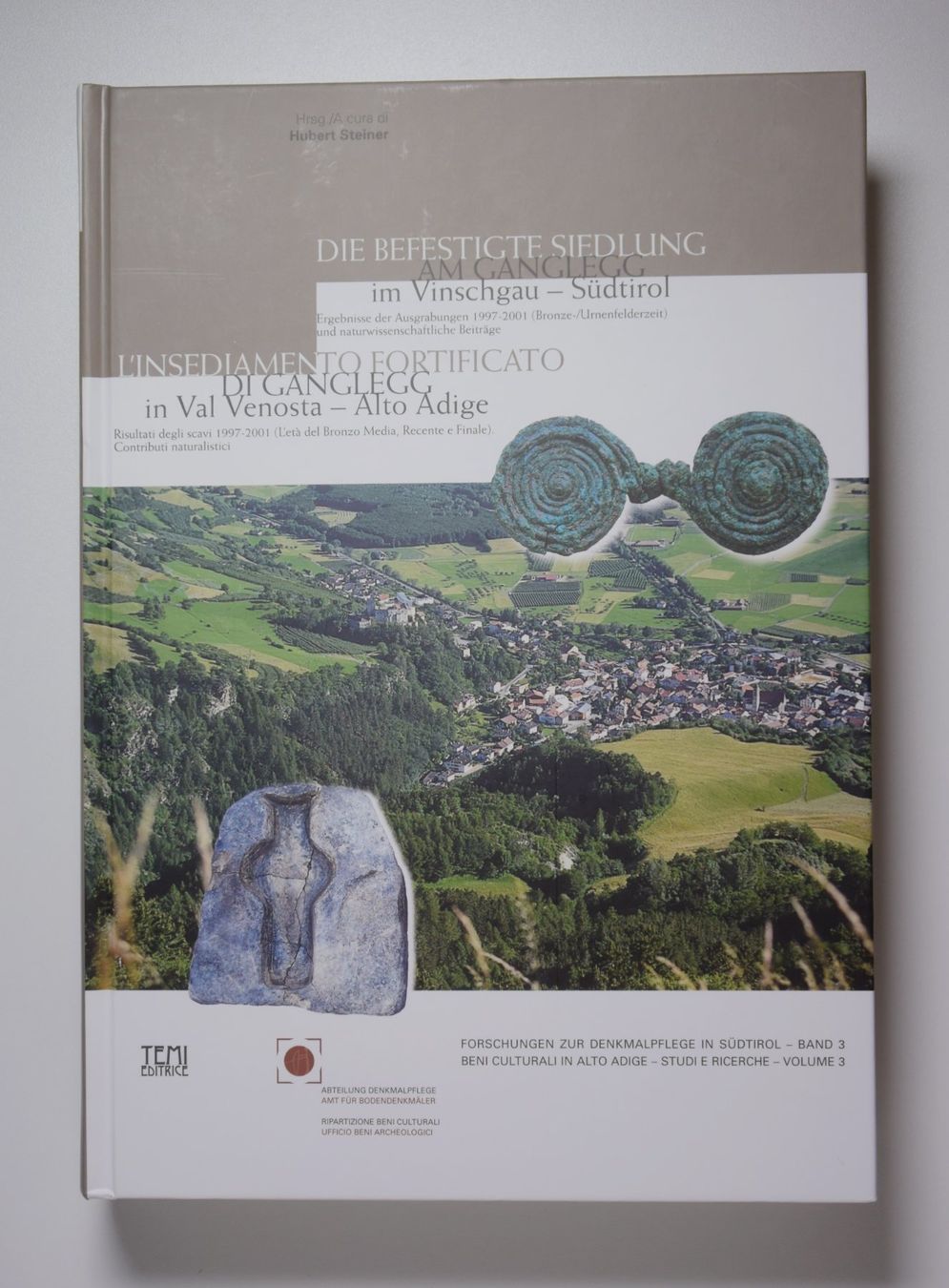 Libri: Archäologie: Befestigte Siedlung am Ganglegg – Usato da Erschwil venduto da taglang