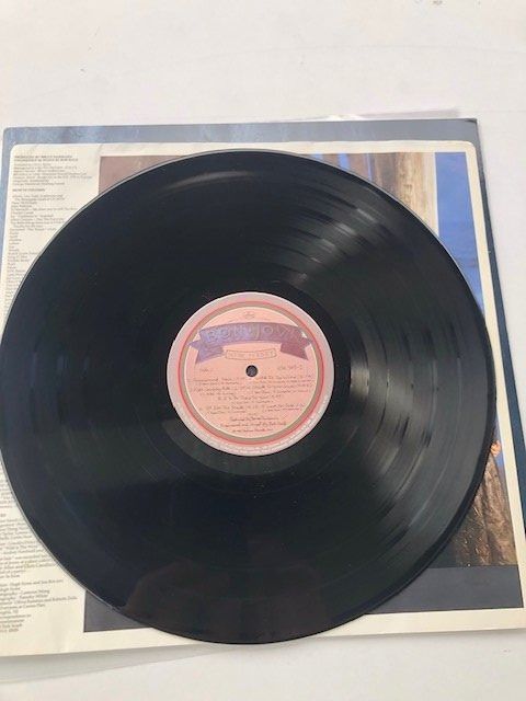 Dischi in vinile: Bon Jovi – Usato da Aarwangen venduto da Jukebox3 7