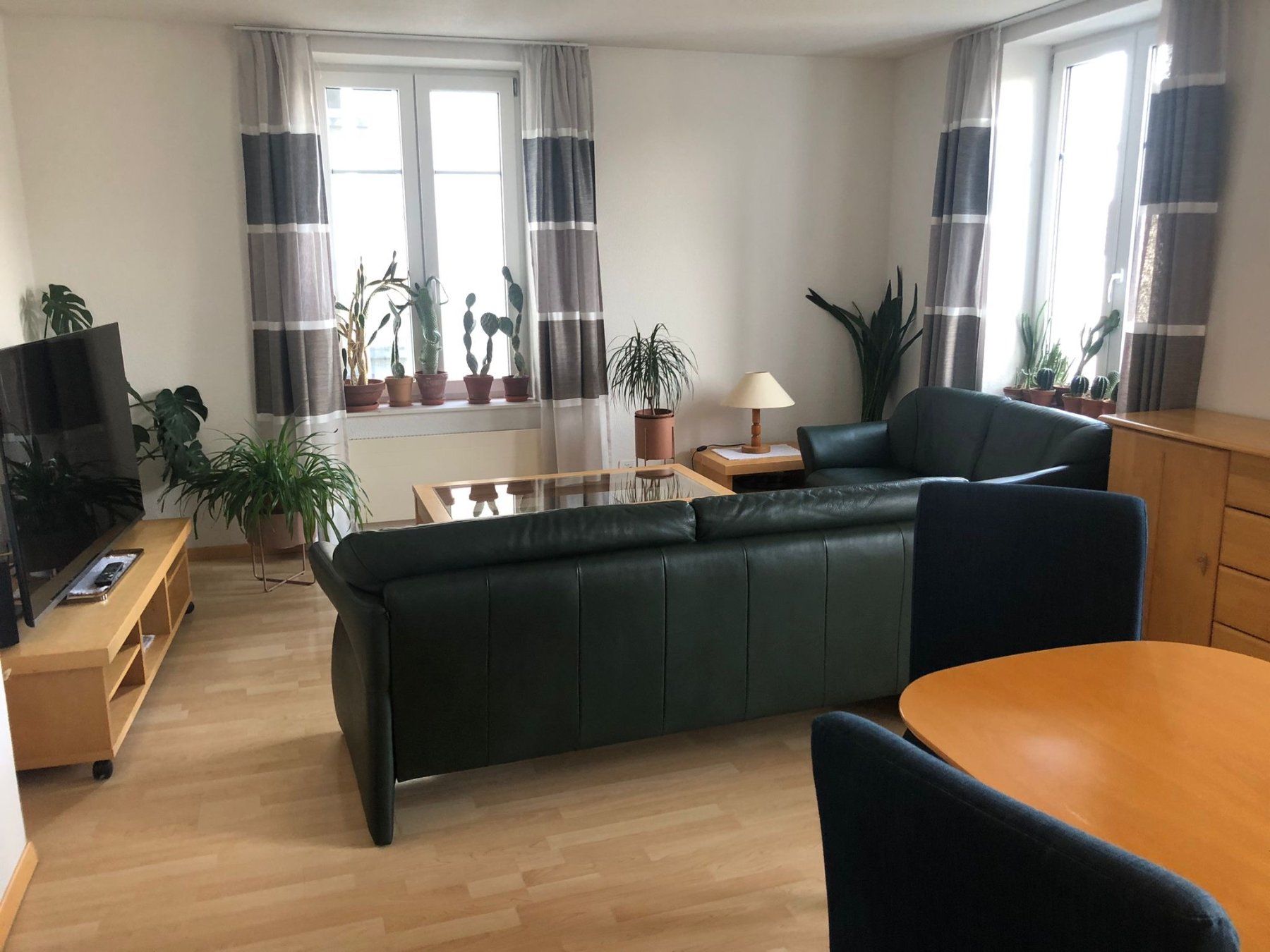 Pfister Divani: Ledercouch - 2 und 3 Sitzer – Usato da St. Gallen venduto da neuhierinbern 3