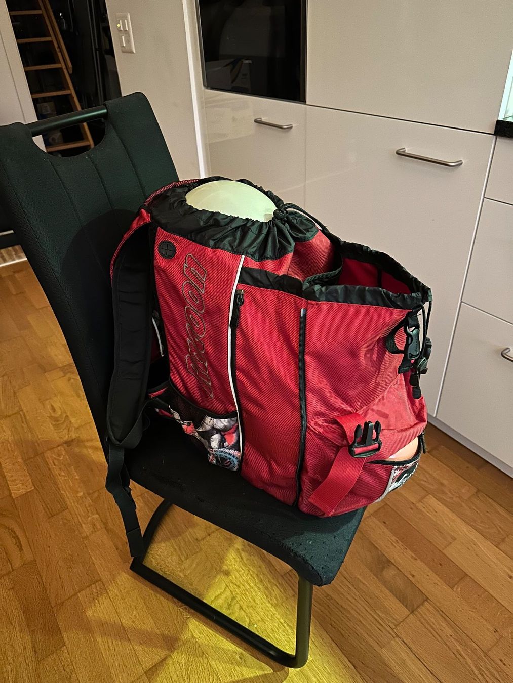 Racoon Sacs à dos: Racoon Rucksack mit Laptopfach – D'occasion à Rikon im Tösstal par sani.144 1