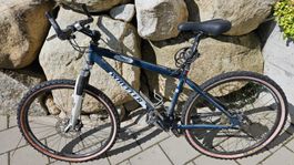 WHEELER BIKE
