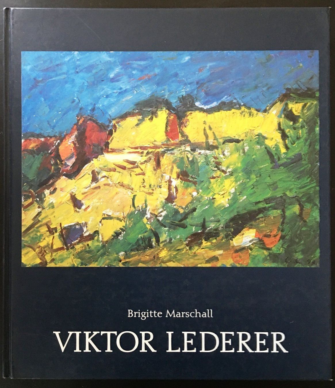 Bücher: Viktor Lederer – Gebraucht aus Oftringen von Vucki