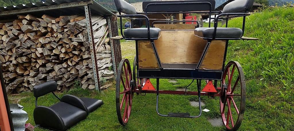 Calèches: Wagonette Kutsche – D'occasion à Wilderswil par adrian-haenggi 2