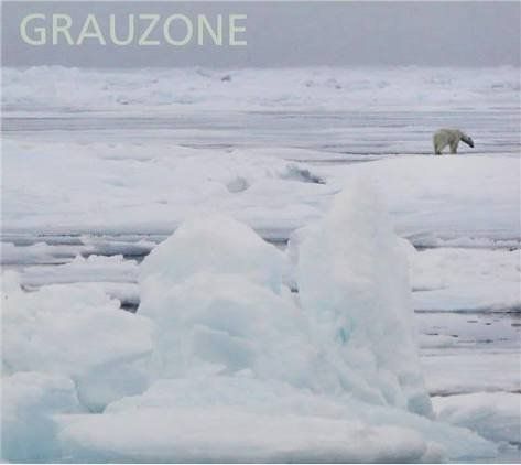CDs: Grauzone / Eisbär – D'occasion à Adetswil par Rrenis
