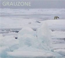 Grauzone / Eisbär