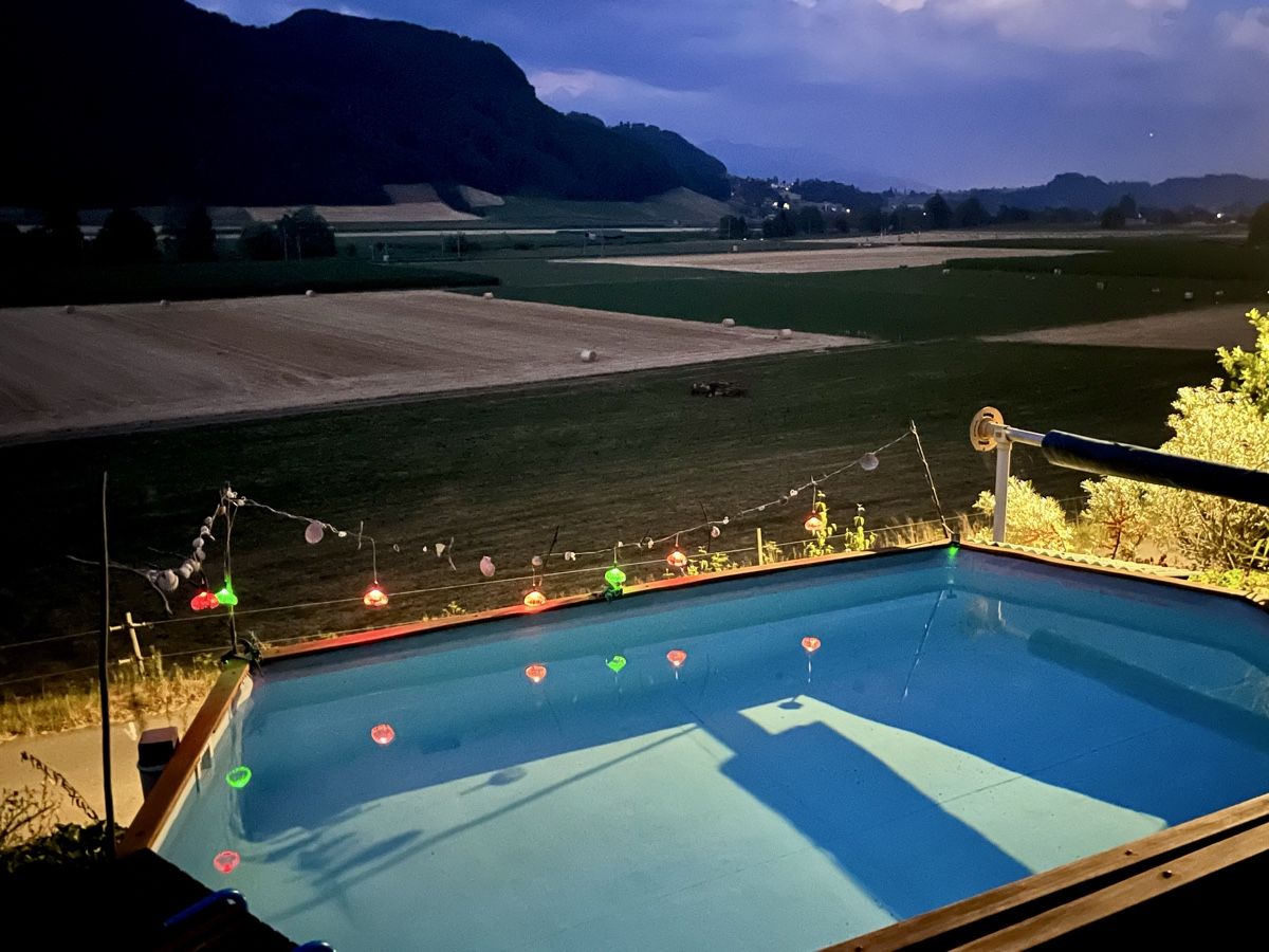 Piscine: Pool für HandwerkerInnen – Difettoso da Toffen venduto da Coroner 7