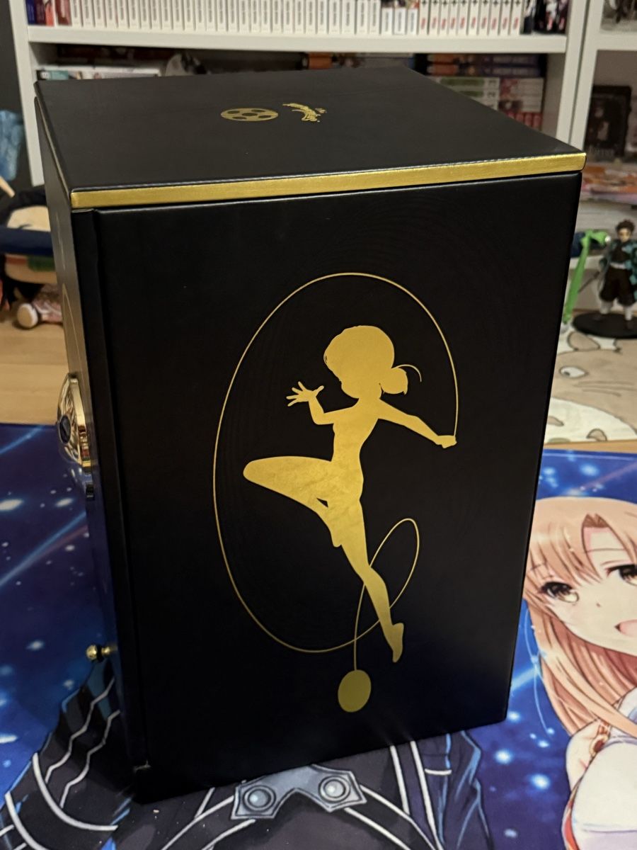 Statuette: Miraculous Ladybug Resin Art Limited Edition Box – Usato da Höchstetten venduto da Syaoran-kun- 2