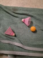 Feder Ball und Ping Pong Ball