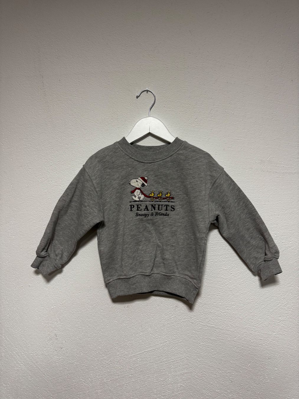 H&M Maglioni & Felpe: H&M Pullover | Gr. 92 👦 – Usato da Walenstadt venduto da closetqueen.mini