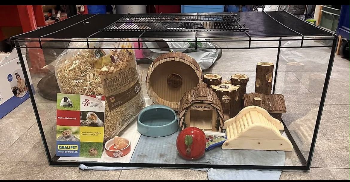Gabbie, trasporto & Sicurezza: Tierkäfig für Hamster oder Mäuse – Nuovo (secondo la descrizione) da Romanshorn venduto da ALFAHOESI33 1