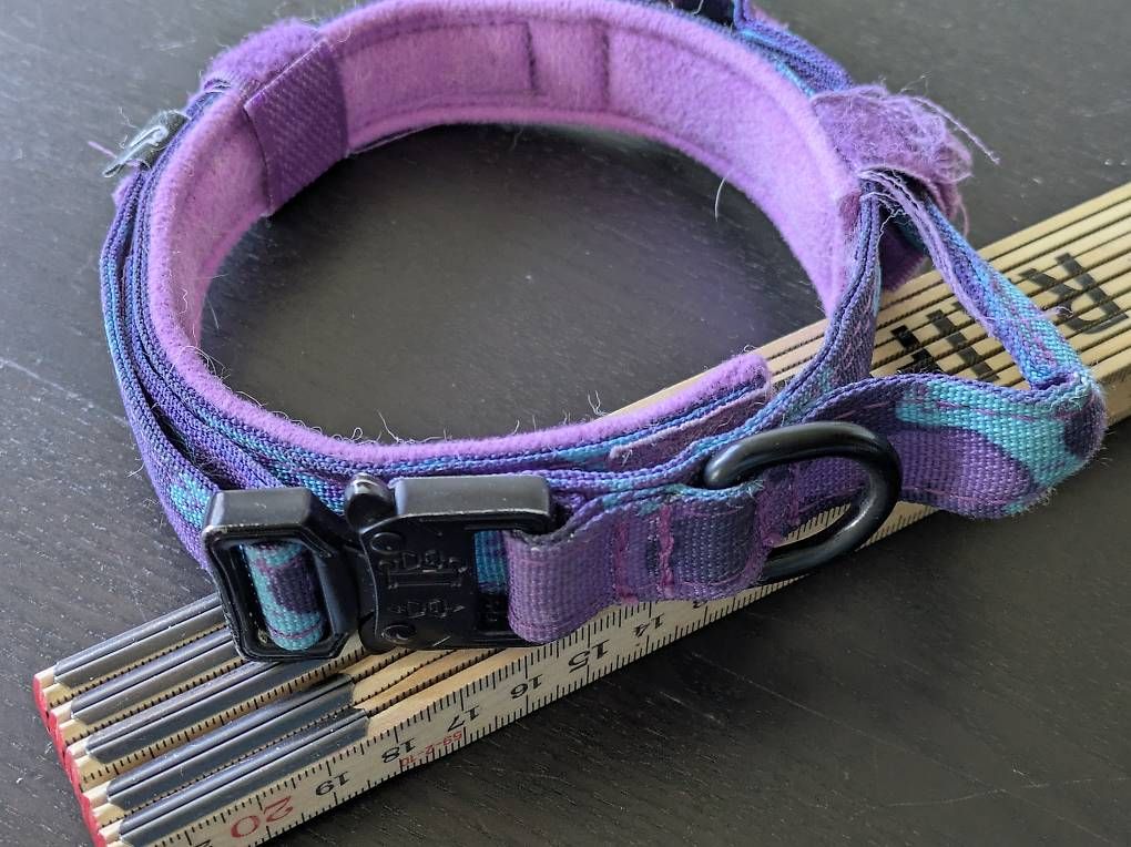 Guinzagli & Collari: Hundehalsband – Usato da Wetzikon ZH venduto da Pa.Re