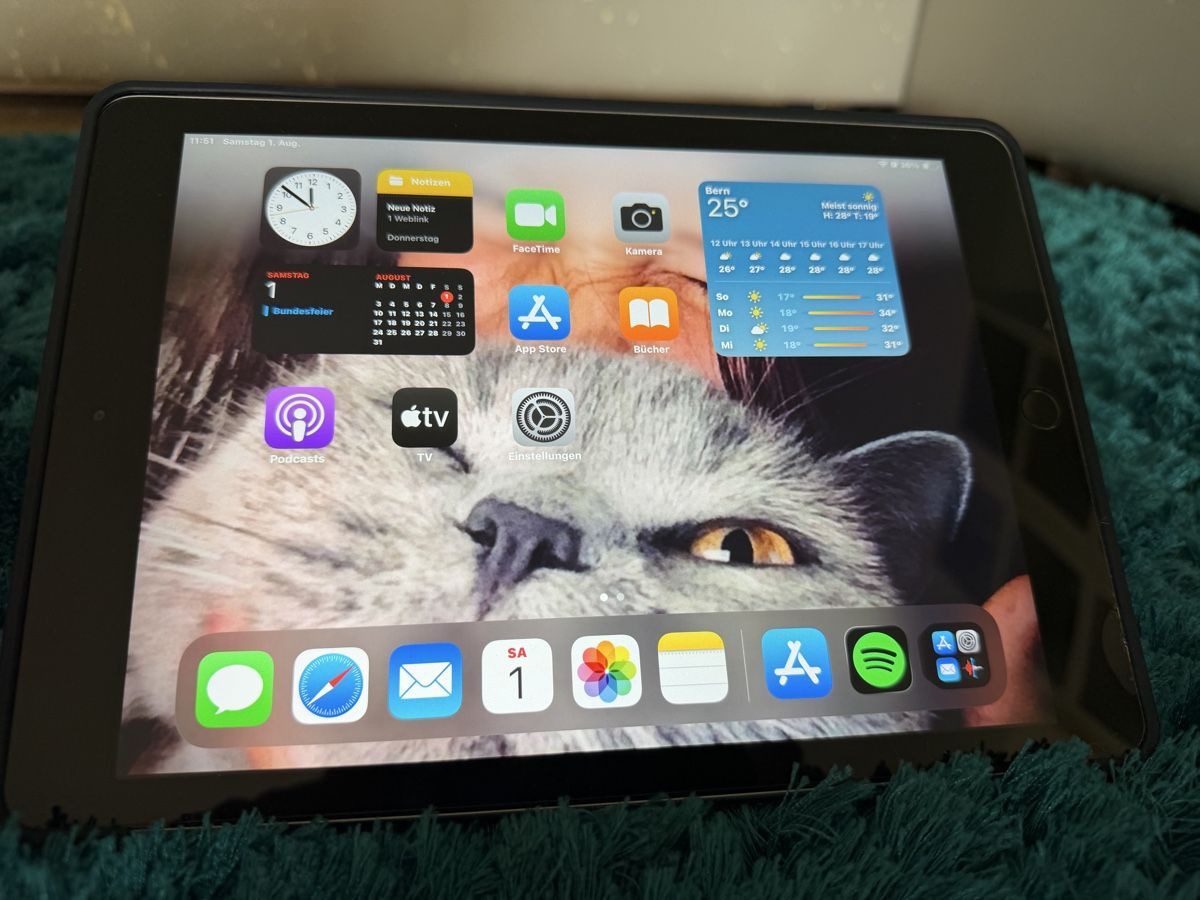 Apple Tablet PC: iPad 6. Generation Top Zustand mit Hülle – Gebraucht aus Orpund von Elchoco_Orpund