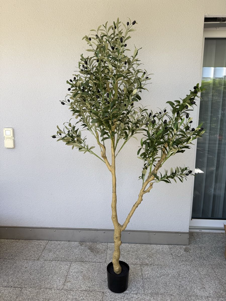 Pflanzen & Samen: Künstlicher Olivenbaum 180cm – Neu und originalverpackt aus Dübendorf von thedoni