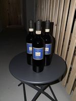La Spinetta, Ca' di Pian Barbera d'Asti, Piemont Rotwein