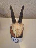 Gemsgeweih mit Schädel Trophäe auf Holzsockel, Wanddeko