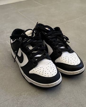 Nike Dunks 38