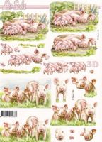 3D Schnittbogen Schweine