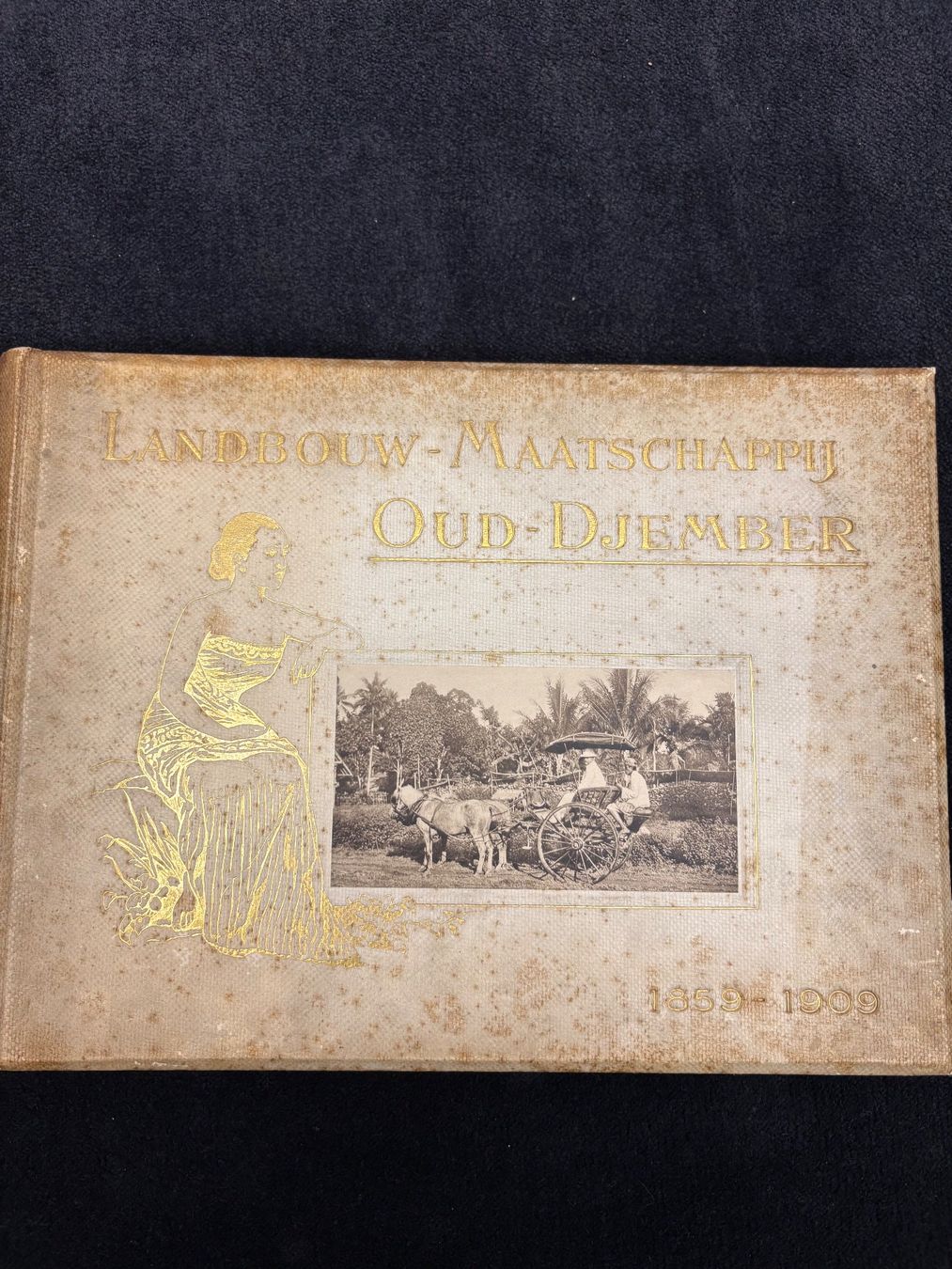 Documenti: Niederländische Wertpapiere – Usato da Bern venduto da pasc62 4
