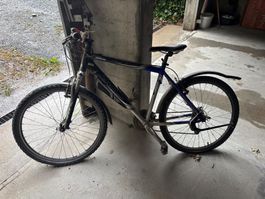 Fahrrad Velo