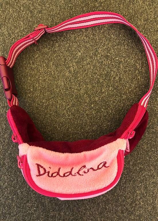 Kindertaschen: Diddlina Bauchtasche für Kinder – Gebraucht aus Aarburg von Noemi.H 1