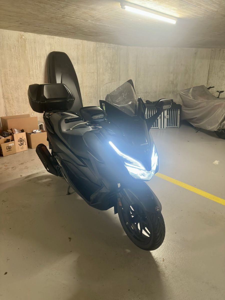 Honda Scooter: Honda Forza 125 – Usato da Vionnaz venduto da alb_hnr9