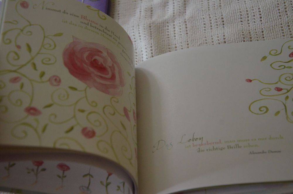 BUCH 3