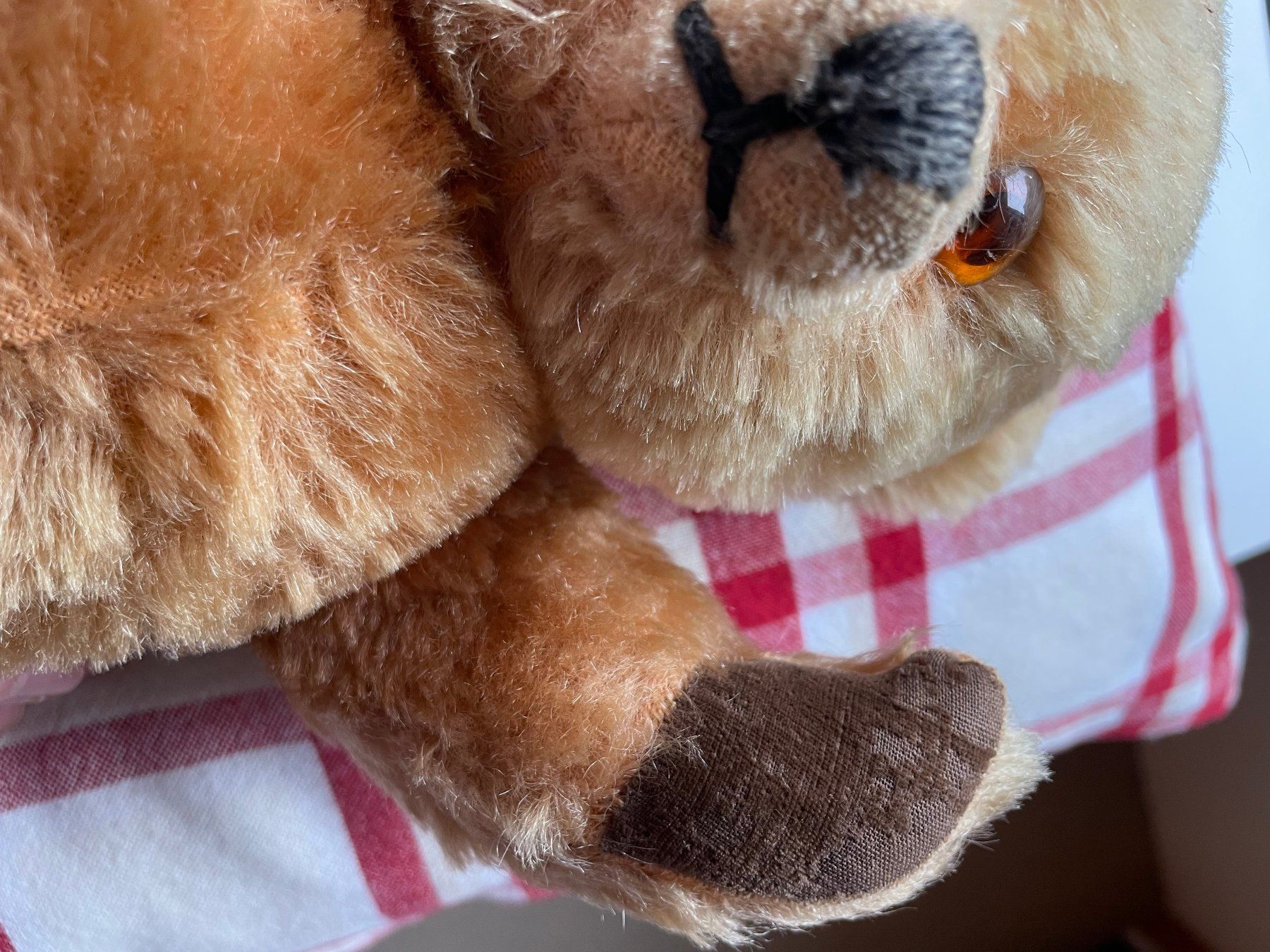 Giocattoli: Sehr gut erhaltener Teddybär mit drehbarem Kopf – Usato da Hausen am Albis venduto da Werk3 6
