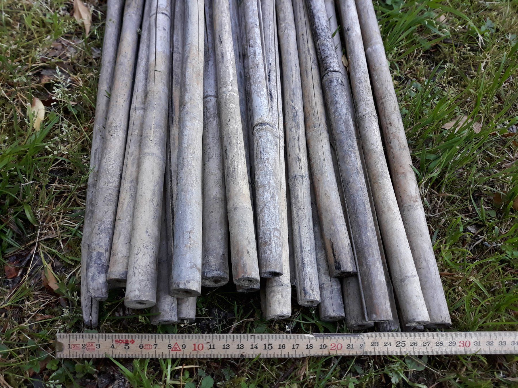 Bambus Stangen, Rankhilfe, Bund  20 Stk / 3Meter lang (Gebraucht) in  Bilten fr CHF 20  nur Abholung auf Ricardo kaufen