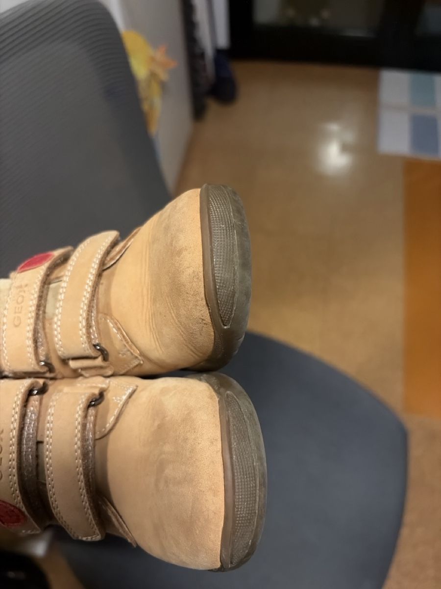 Geox Scarpe per ragazzi:  Geox bambino 26 – Usato da Giubiasco venduto da sc-77 2